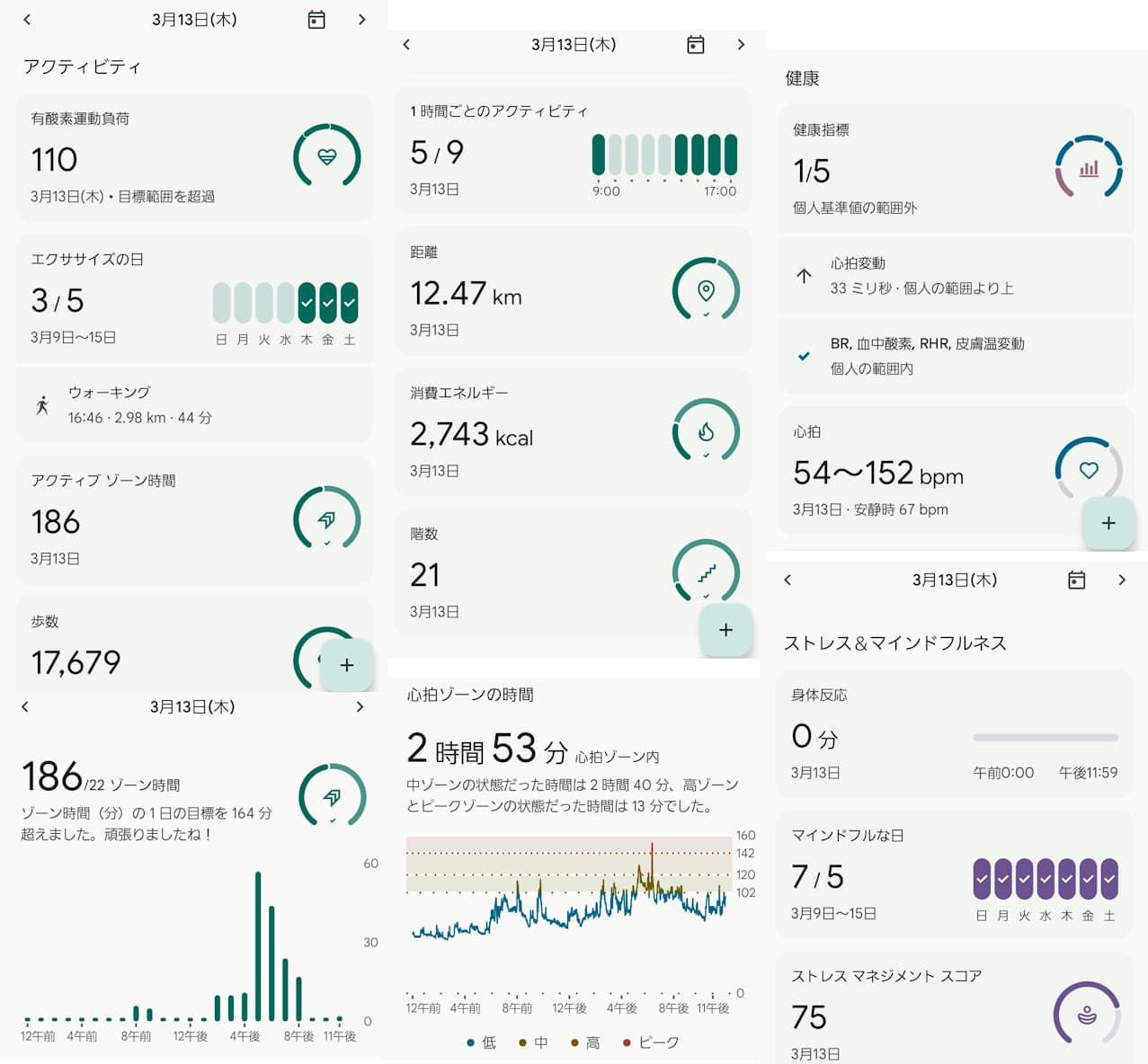 Fitbit20250313のデータ