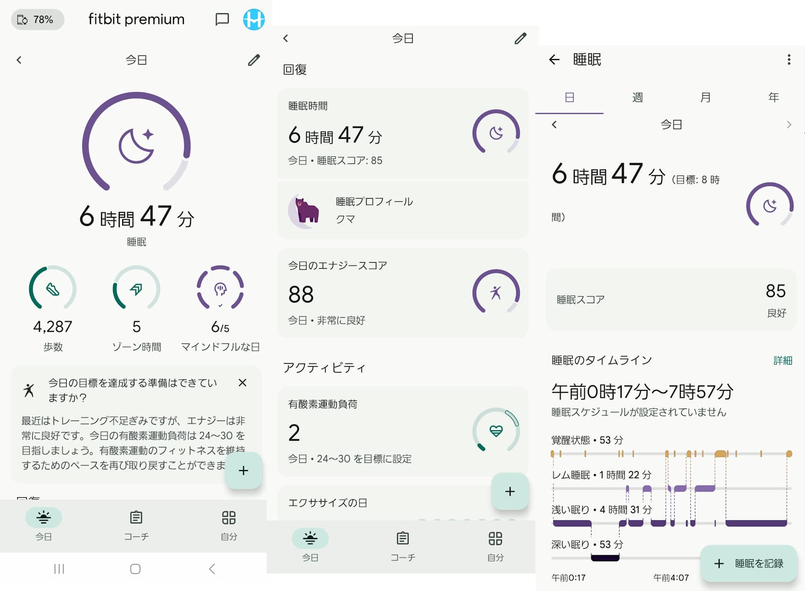 Fitbit20250412のデータ