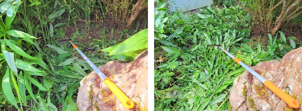 木立の間は長い柄の草刈鎌で