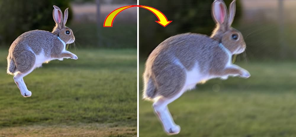 ウサギ画像を加工