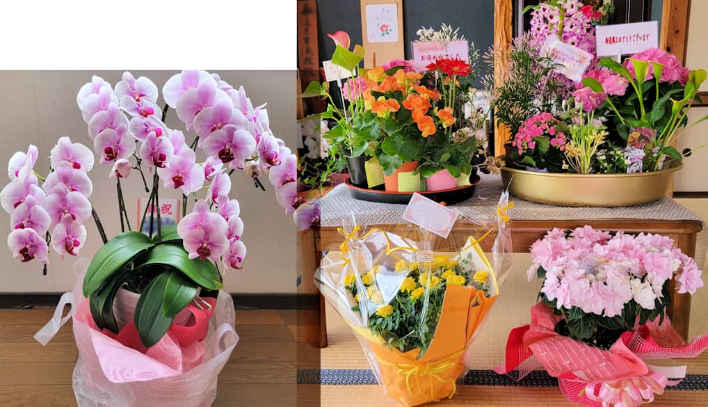 退職祝いのお花