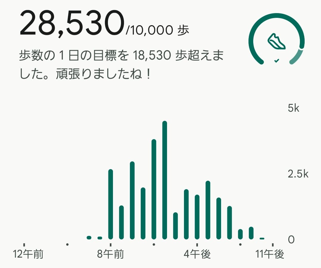 桜ツアー二日目のfitbit歩数データ