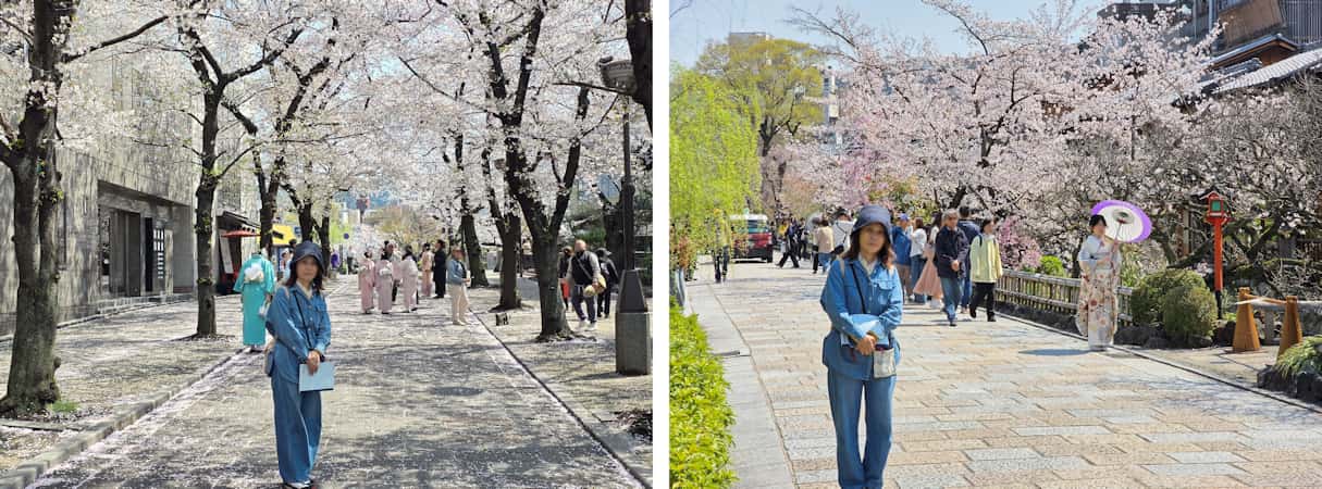桜写真02