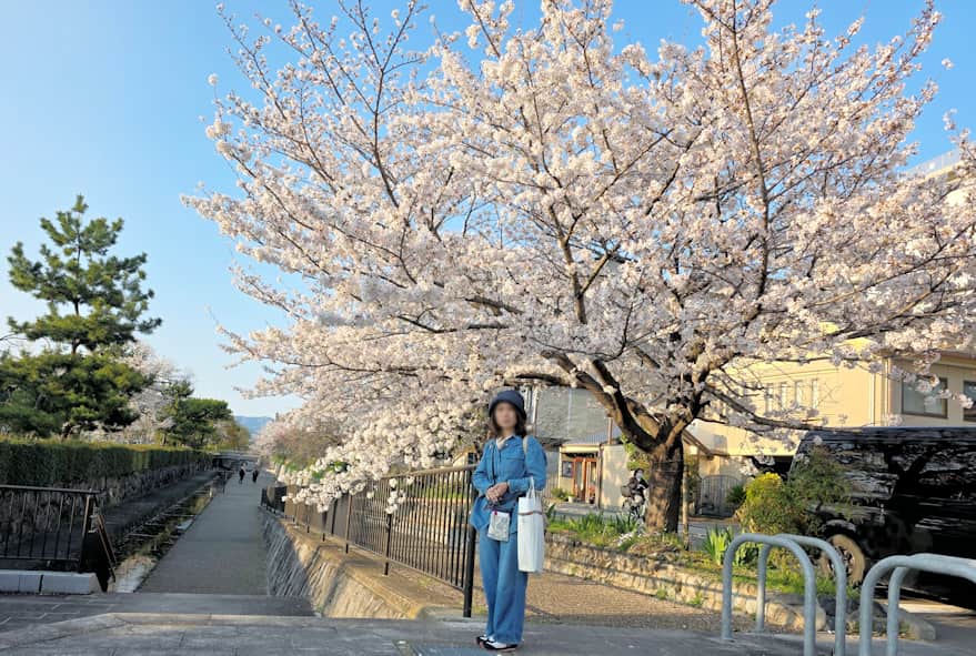 桜写真10