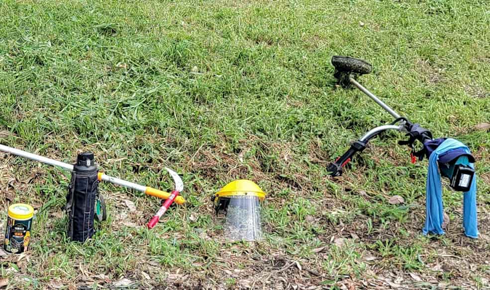 夏場は草との戦いに明け暮れる